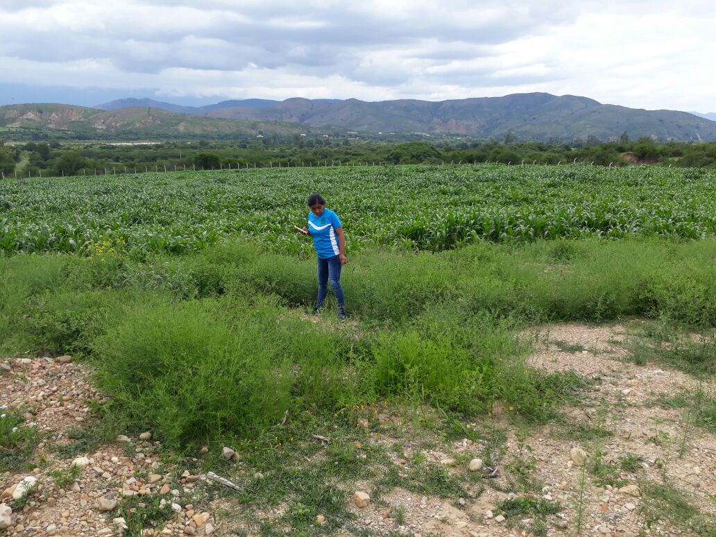CHETA