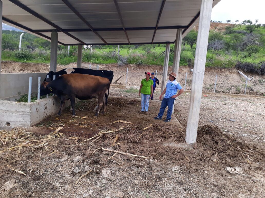 granja lechera