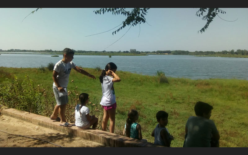 campamento de verano