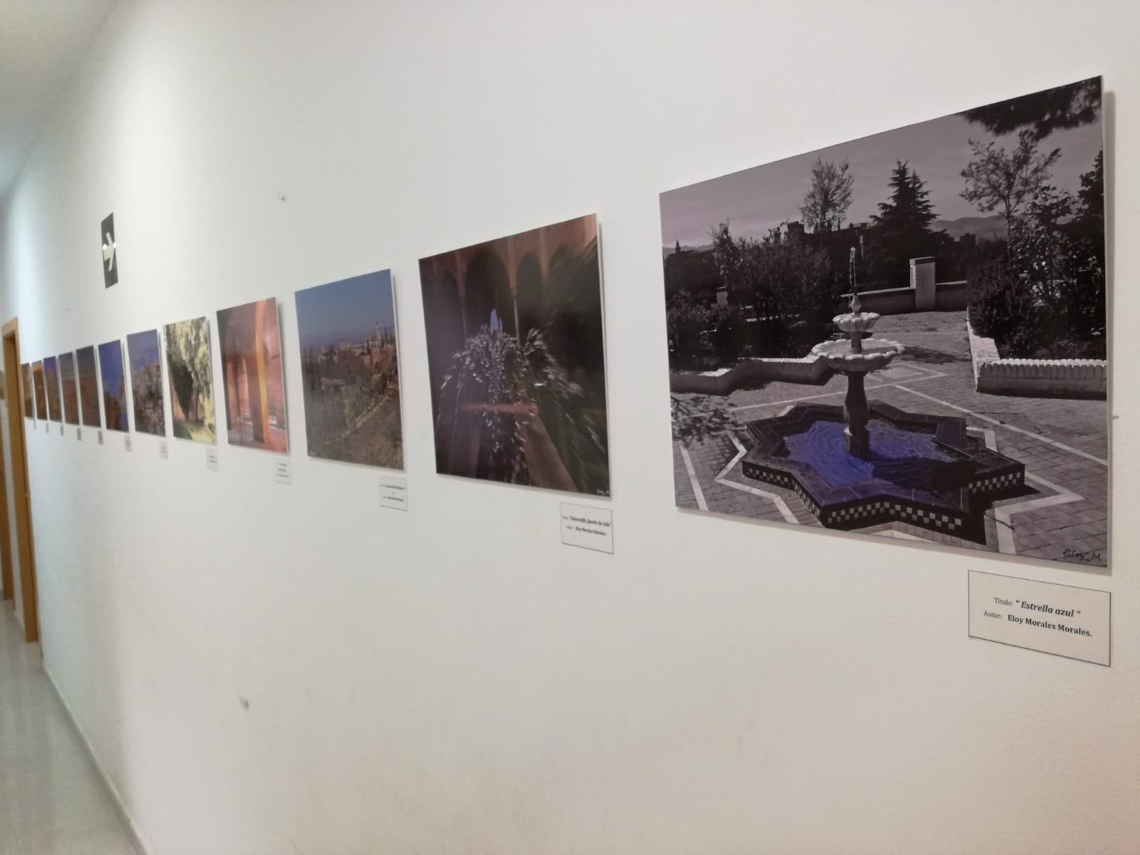 Exposición a beneficio de la oNGD Proclade Bética