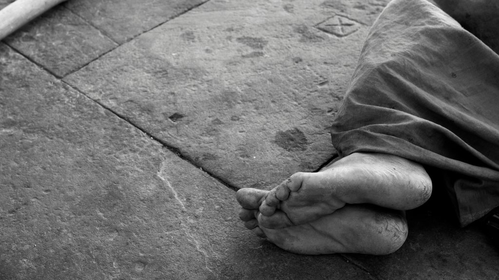 inclusión social 