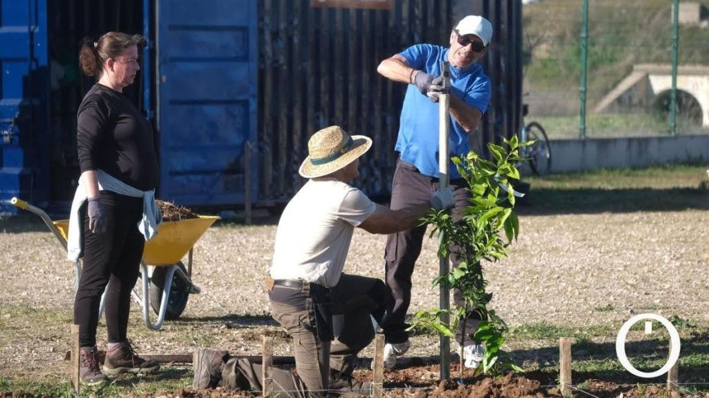 HUERTOS ECOLÓGICOS CÓRDOBA