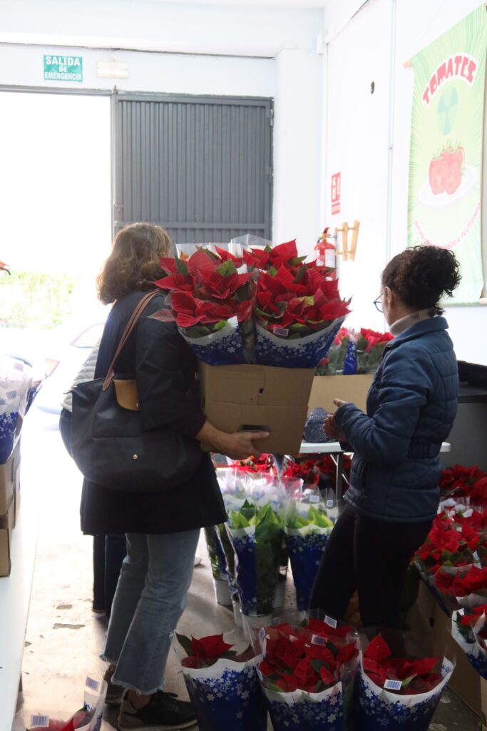 FLORES DE PASCUA SOLIDARIAS DELEGACION SEVILLA