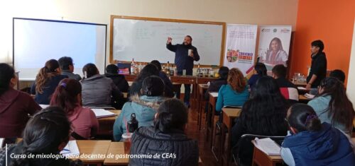 formacion profesional bolivia